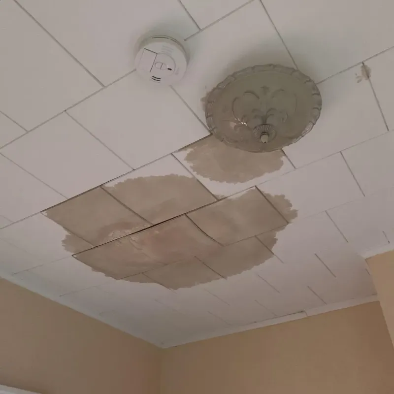 Ceiling Water Damage Repair in Meadville, MS