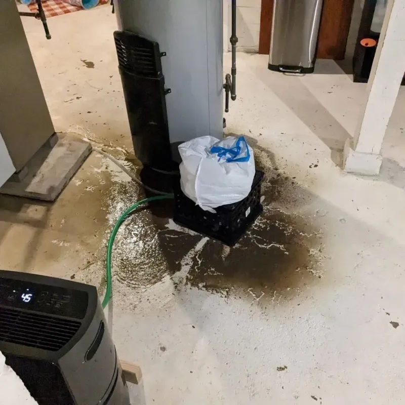 Sewage Backup Cleanup Service in Meadville, MS